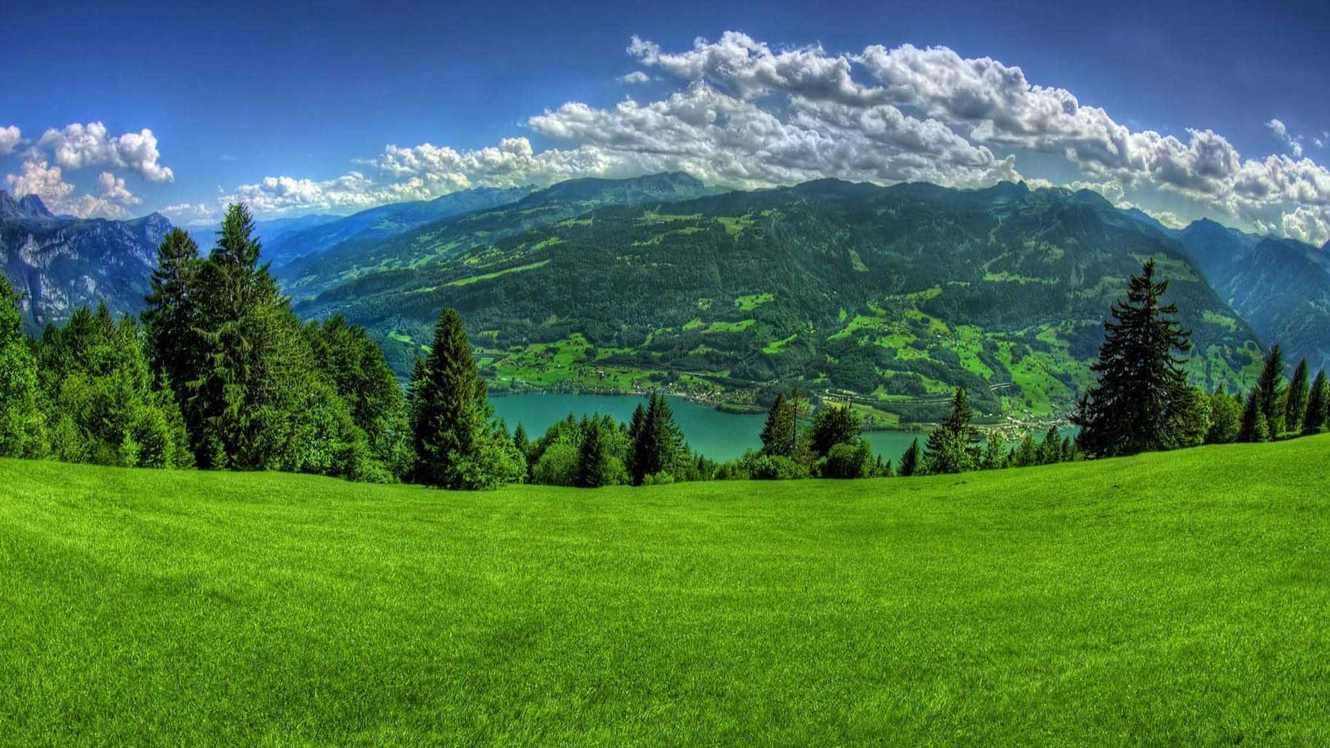 Zlatibor